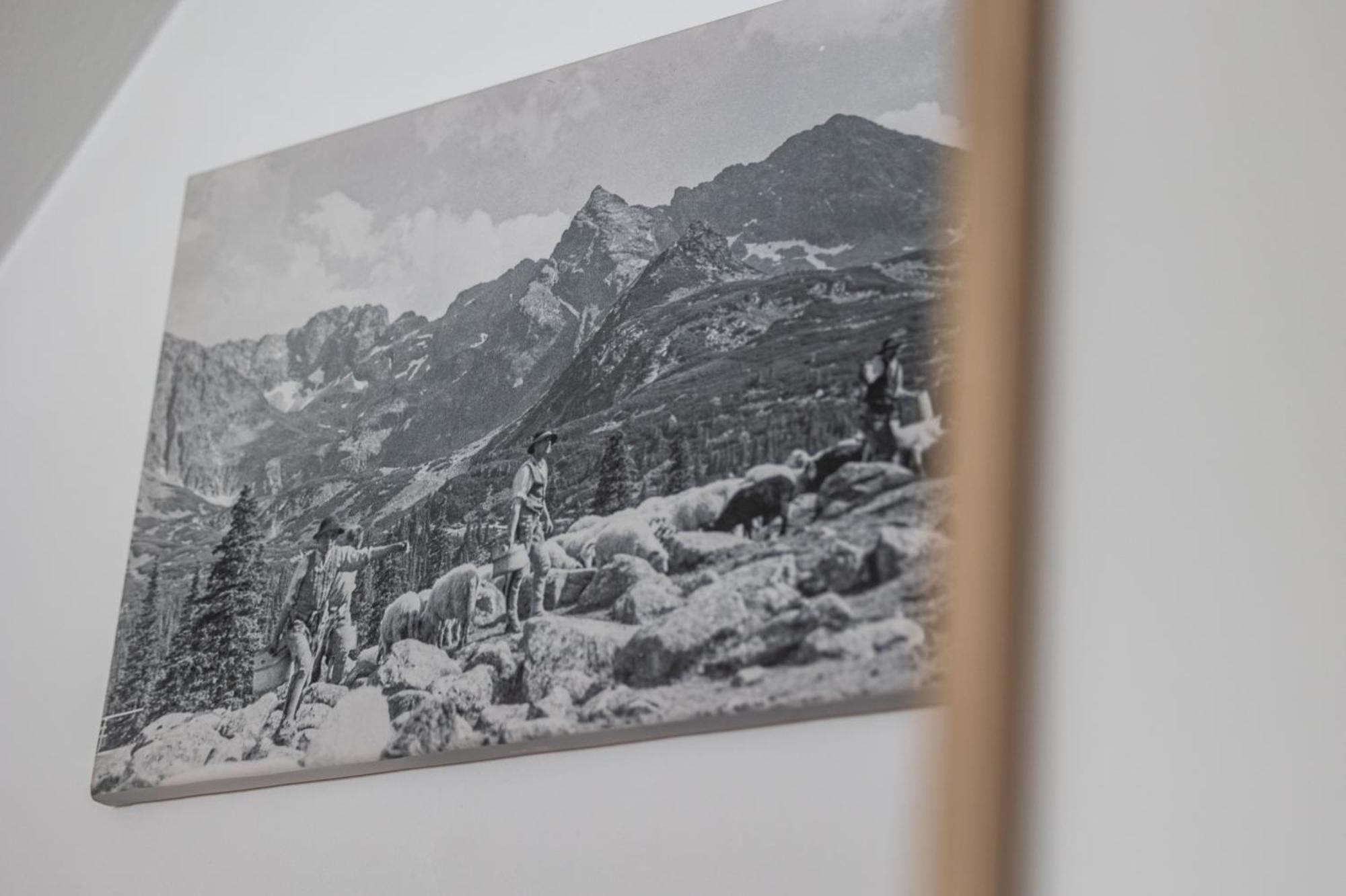 Pokoje Na Rowni Zakopane Exteriör bild